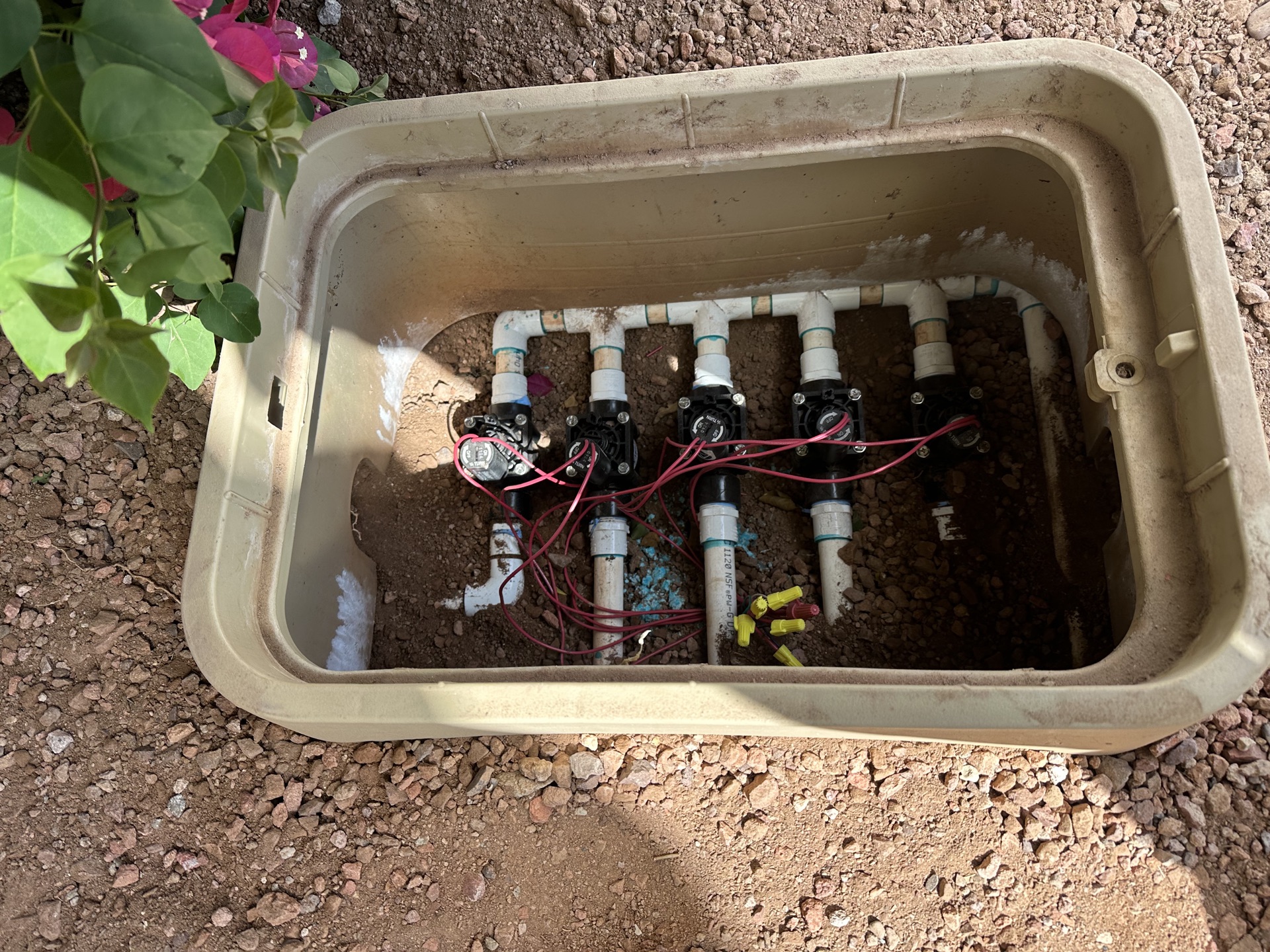 Top-down view of sprinkler valve box during repair