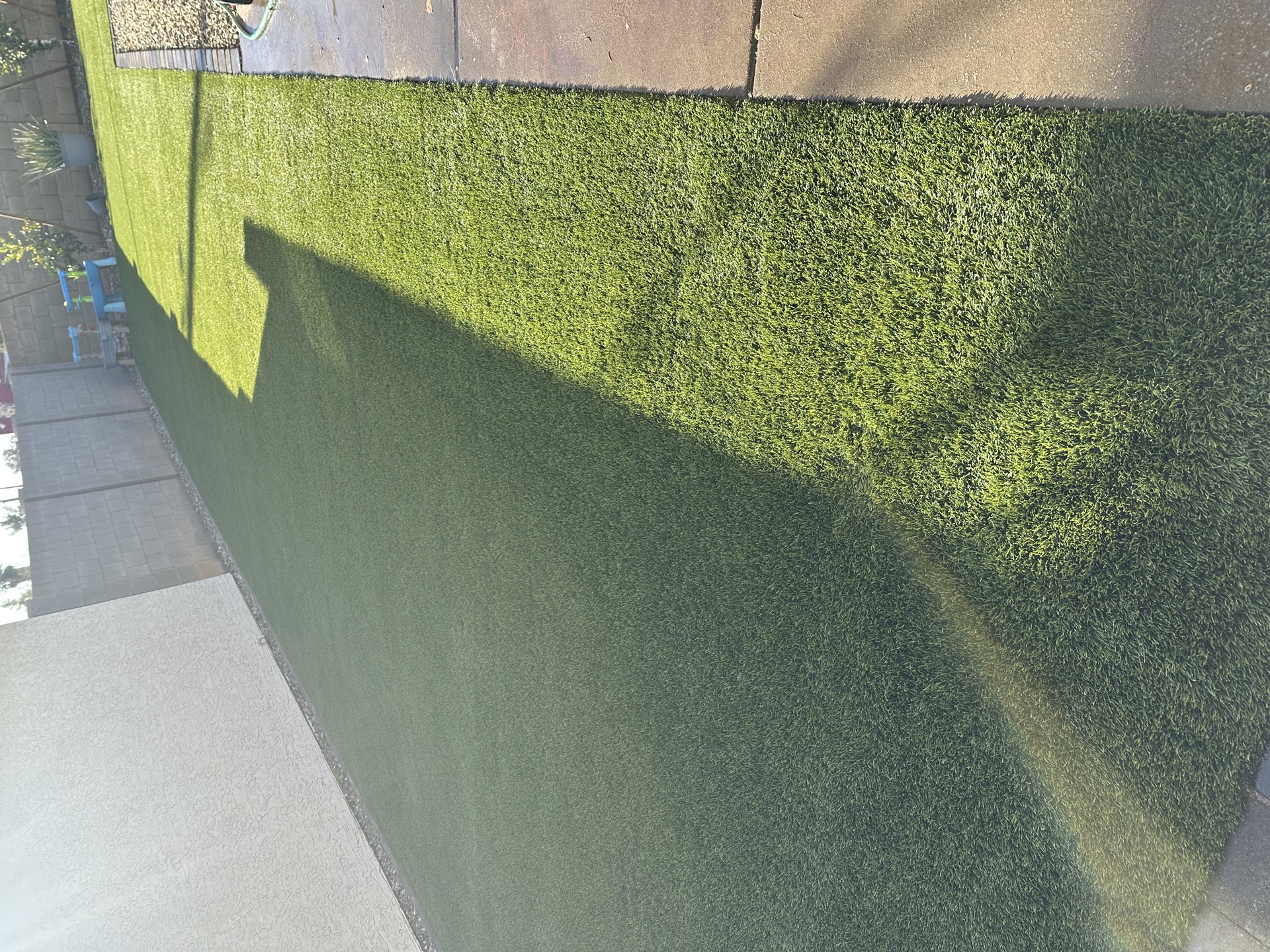 Clean turf backyard after professional service