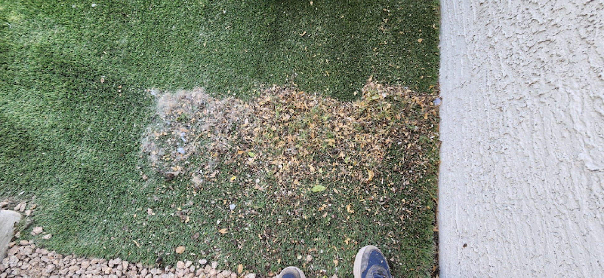 Before: dirty turf with debris