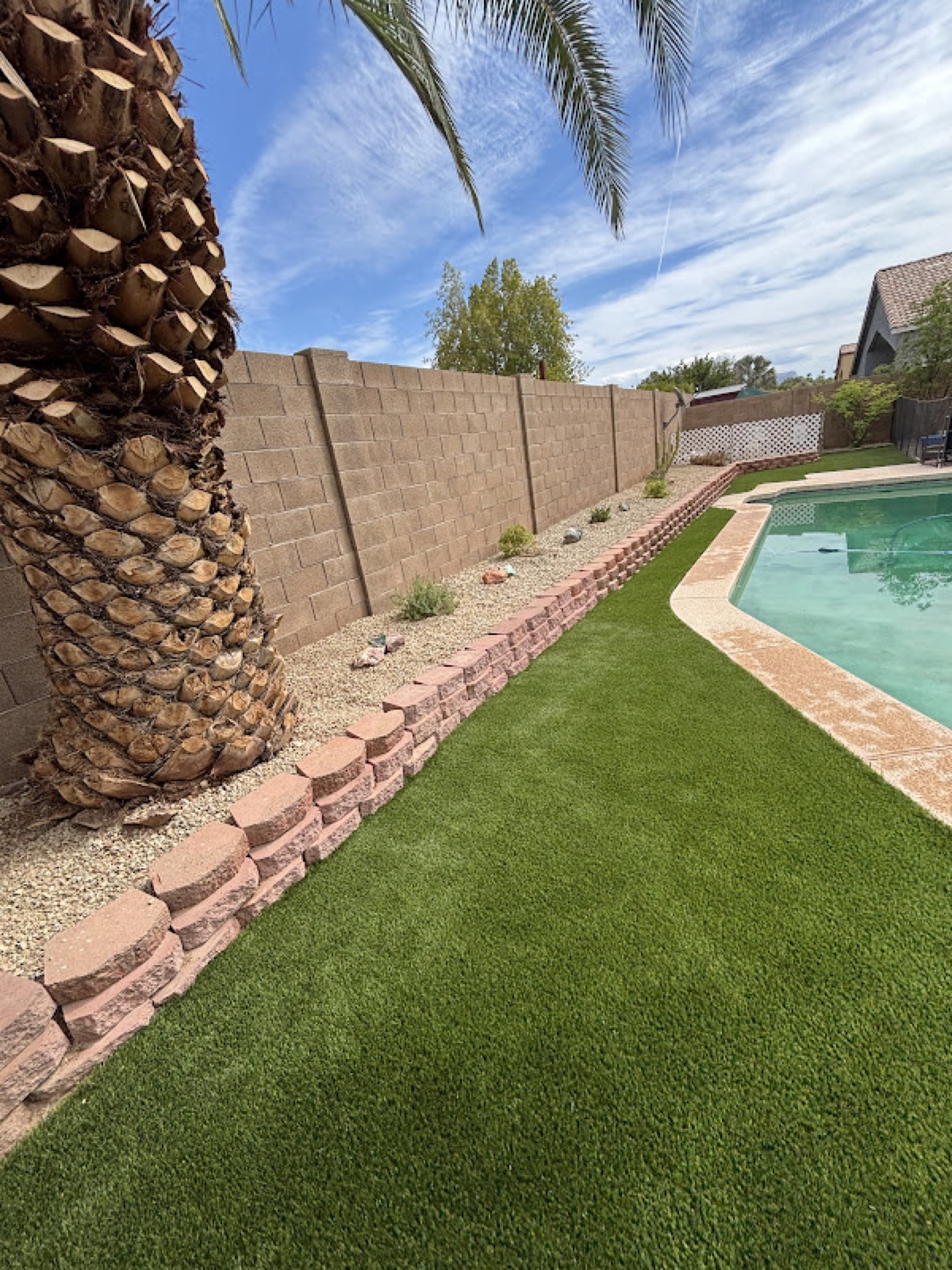 Turf by pool with palm tree