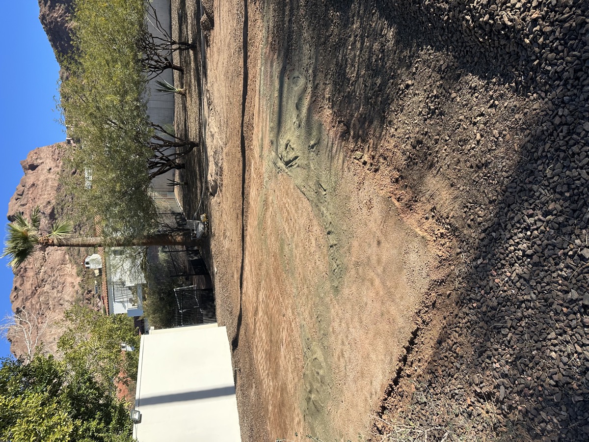 AZ Turf Cleaning crew performing pet turf deep cleaning in Mesa AZ backyard