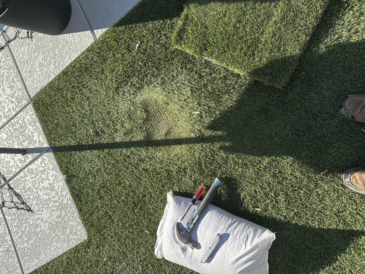 Artificial turf installation replacing natural grass at a Mesa AZ home by AZ Turf Cleaning