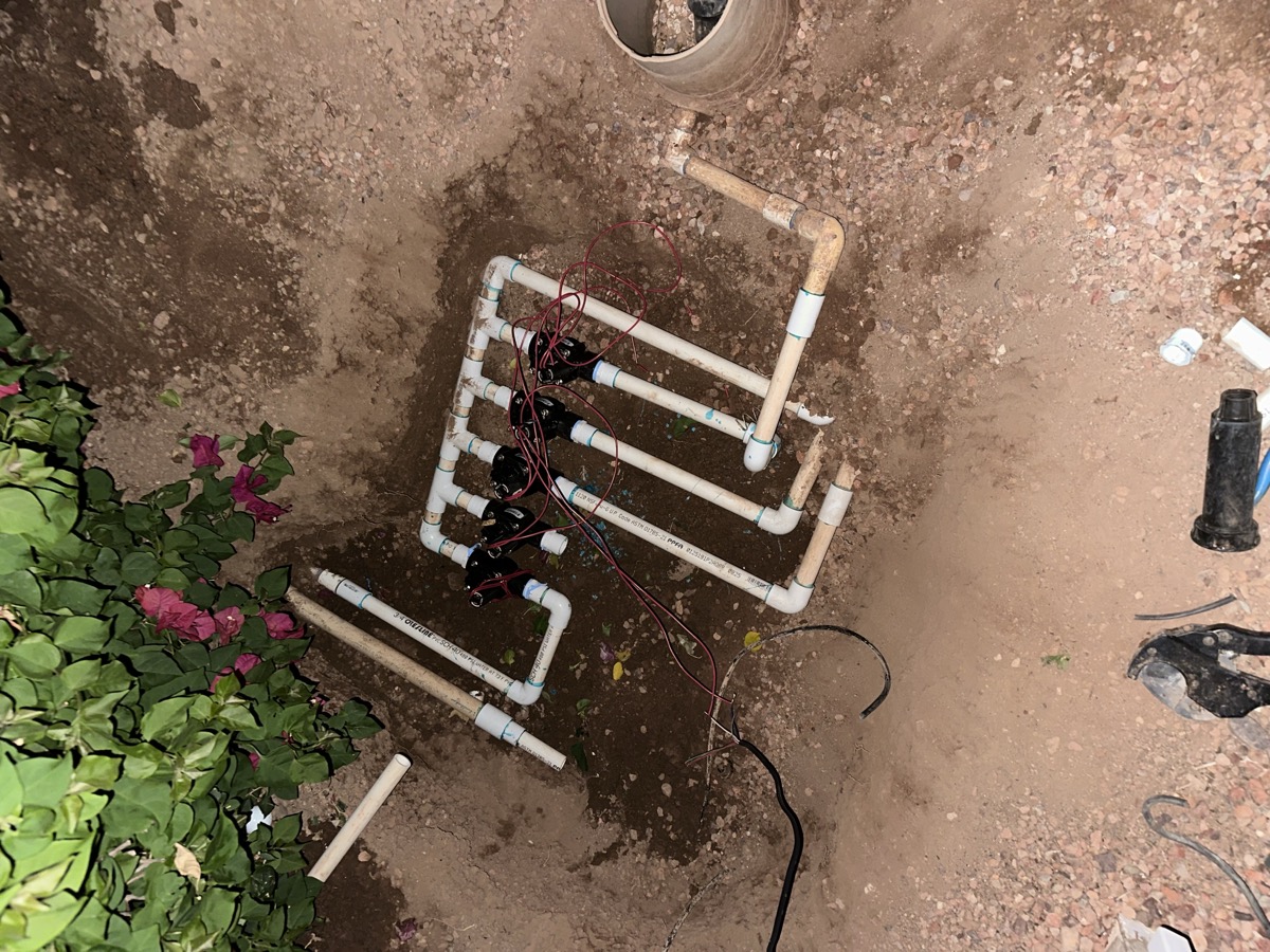 Mixed-medium desert backyard with pet turf, pavers, and plant beds in Gilbert AZ